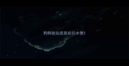 狗狗驱虫疫苗后拉水便