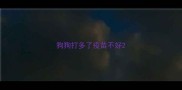 狗狗打多了疫苗不好