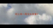 哈士奇一周没长体重