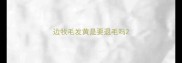 边牧毛发黄是要退毛吗