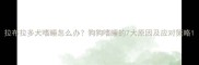 拉布拉多犬嗜睡怎么办狗狗嗜睡的7大原因及应对策略