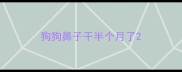 狗狗鼻子干半个月了