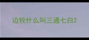 边牧什么叫三通七白