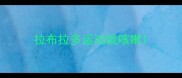 拉布拉多运动就咳嗽