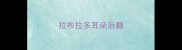 拉布拉多耳朵后翻