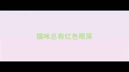 猫咪总有红色眼屎