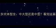 拉布拉多犬体型全中大型还是中型看完这篇不纠结