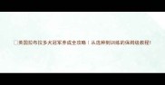 英国拉布拉多犬冠军养成全攻略从选种到训练的保姆级教程