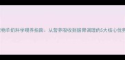 宠物羊奶科学喂养指南从营养吸收到肠胃调理的5大核心优势