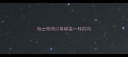 哈士奇两只眼睛是一样的吗