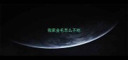 我家金毛怎么不吃