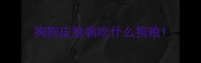 狗狗皮肤病吃什么狗粮
