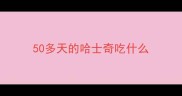 50多天的哈士奇吃什么