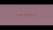 怎么样判断狗狗流产