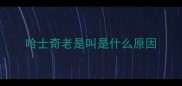 哈士奇老是叫是什么原因