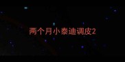 两个月小泰迪调皮