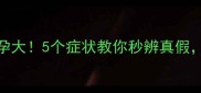 狗狗假孕vs真孕大5个症状教你秒辨真假新手养狗必看