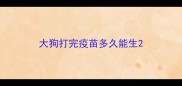 大狗打完疫苗多久能生