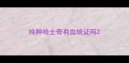 纯种哈士奇有血统证吗