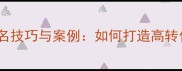 北京宠物店命名技巧与案例如何打造高转化率的品牌IP
