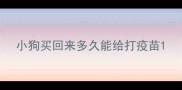 小狗买回来多久能给打疫苗