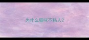 为什么猫咪不粘人