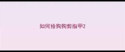 如何给狗狗剪指甲