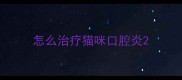 怎么治疗猫咪口腔炎