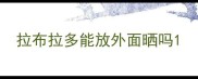 拉布拉多能放外面晒吗