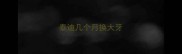 泰迪几个月换大牙