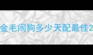 金毛闹狗多少天配最佳