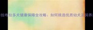 菏泽拉布拉多犬健康保障全攻略如何挑选优质幼犬及饲养指南