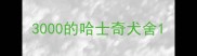 3000的哈士奇犬舍