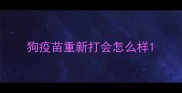狗疫苗重新打会怎么样