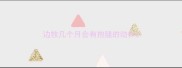 边牧几个月会有抱腿的动作