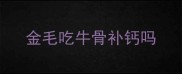 金毛吃牛骨补钙吗