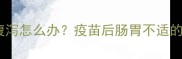 猫咪接种疫苗后腹泻怎么办疫苗后肠胃不适的7天自救指南