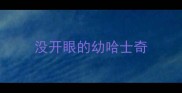 没开眼的幼哈士奇