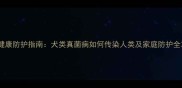 宠物健康防护指南犬类真菌病如何传染人类及家庭防护全攻略