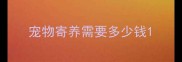 宠物寄养需要多少钱