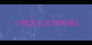 小狗怎么总有眼屎