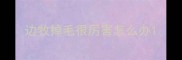边牧掉毛很厉害怎么办