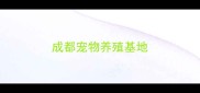 成都宠物养殖基地