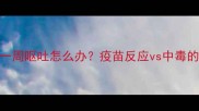 狗狗打疫苗后一周呕吐怎么办疫苗反应vs中毒的7个鉴别方法