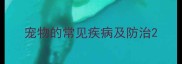 宠物的常见疾病及防治