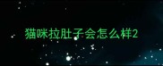 猫咪拉肚子会怎么样