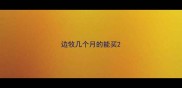 边牧几个月的能买