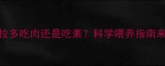 拉布拉多吃肉还是吃素科学喂养指南来了