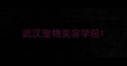 武汉宠物美容学院