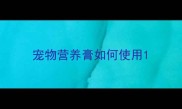 宠物营养膏如何使用